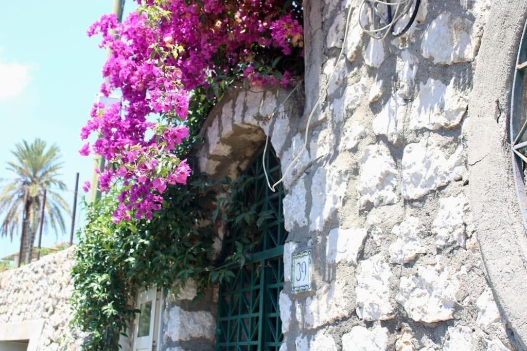 La Bouganville Holiday home *