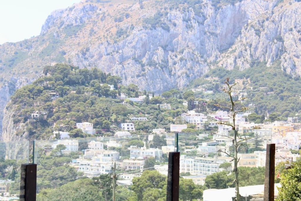 La Bouganville Capri